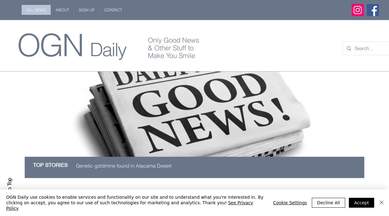 Only Good News Dailyimage cover