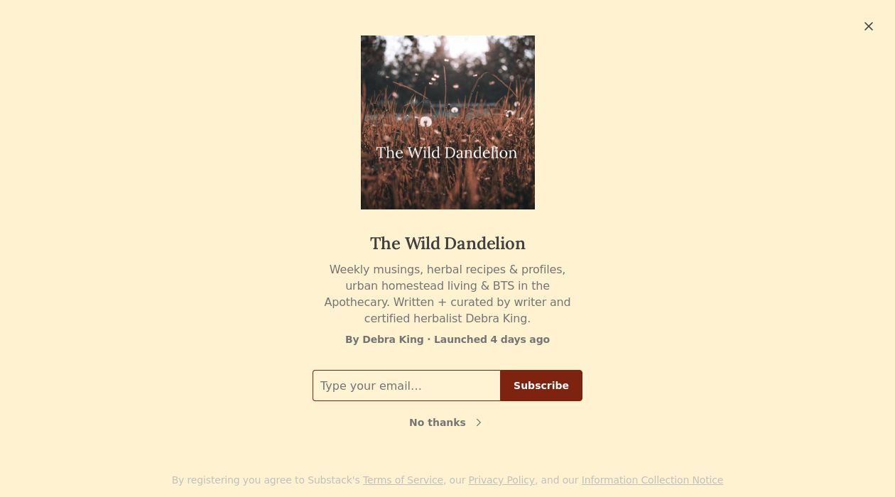 The Wild Dandelionimage cover